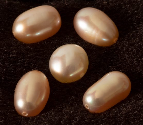 Perle