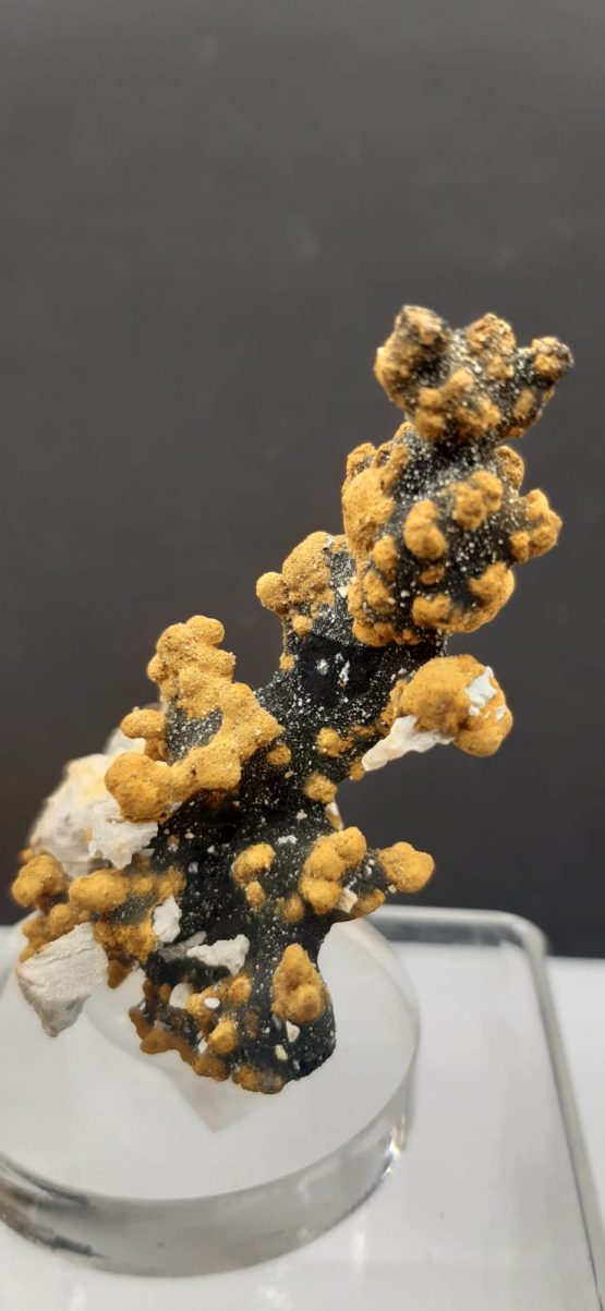 Romanechite Goethite-SOLD - immagine 2