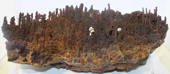 Goethite-SOLD - immagine 4