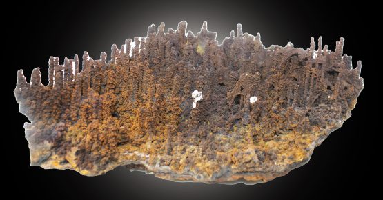Goethite-SOLD - immagine 2