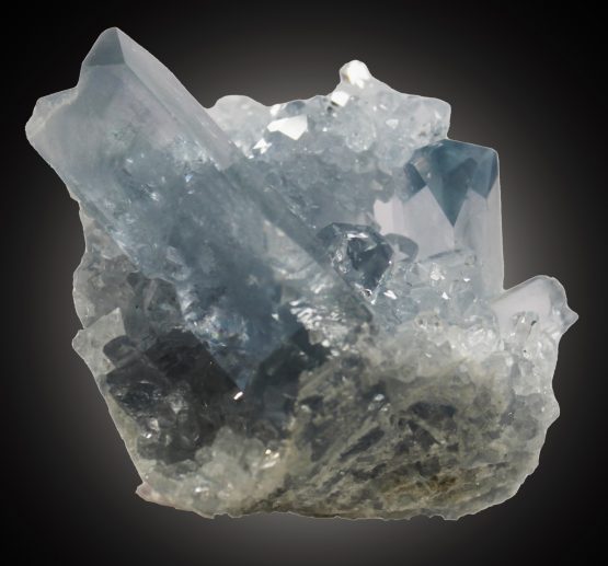 Celestina SOLD